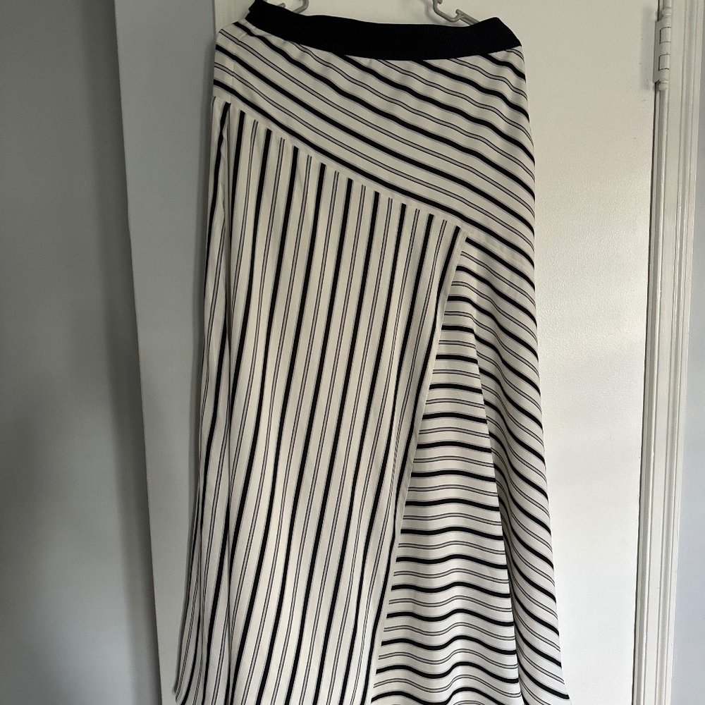 Ann Taylor Maxi Skirt